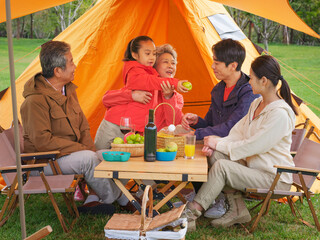 A happy family of five having a picnic outdoors