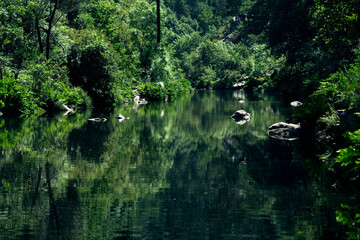 View of the peaceful forest river in Nord Portugal.