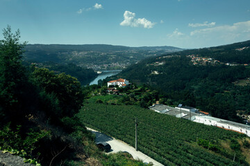 Top view of the valley and Douro River in the Aveiro District, Portugal.