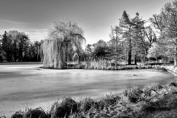 A frozen lake and deciduous trees in a park during winter