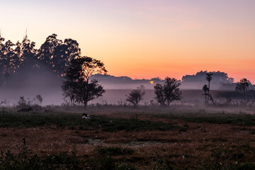 Fototapeta na wymiar Farm field at sunrise