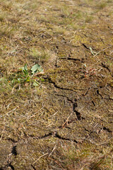 Cracks in the ground after long period of drought. Extreme dryness in Northern Europe. Global warming concept.