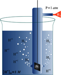 Standard Hydrogen Electrode is a reference electrode on all half-cell potential reactions, that is considered an arbitrary zero