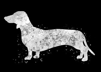 Dachshund Dog black and white watercolor, abstract painting. Watercolor illustration rainbow, colorful, poster, decoration wall art.
