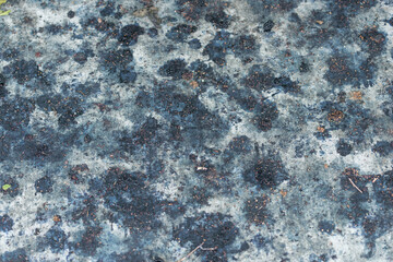 seedy purple-blue mulberry pulp on a concrete pavement or sidewalk
