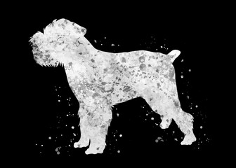 Brussels griffon Dog black and white watercolor, abstract painting. Watercolor illustration rainbow, colorful, poster, decoration wall art.