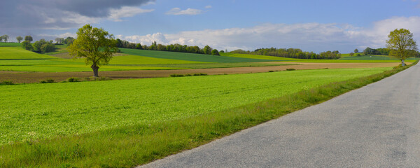 Panoramique route de campagne du département de l'Allier en région Auvergne-Rhône-Alpes, France