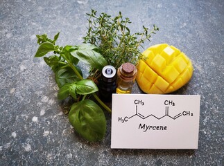 Structural chemical formula of myrcene with green basil leaves, thyme twigs, mango, and two glass...