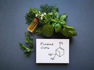 Structural chemical formula of pinene with essential oil in a glass bottle, fresh evergreen...