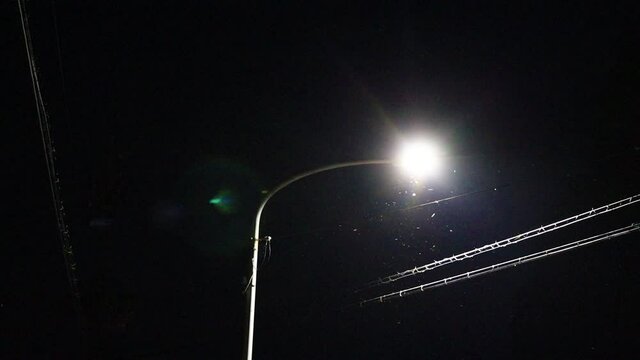 夜の街灯の光に集まる虫　夏　イメージ