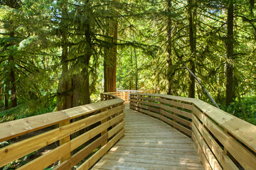 Obraz premium Wooden bridge structure under construction in the middle of an old forest