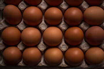 eggs in a box top view