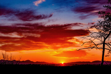 spectacular desert sunset