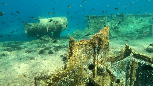 Shoal of fish swimming. Diving along sunken boat, shipwreck. Sun light rays