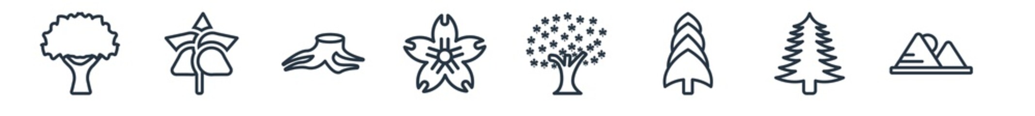 linear set of nature outline icons. line vector icons such as sugar maple tree, orange leaf, deforestation, japanese flower, maple tree, hill vector illustration.