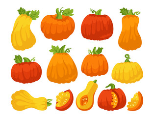 Pumpkin flat cartoon set. Orange ripe autumn various pumpkins, whole or slice. Halloween or Thanksgiving Day festival symbol harvest collection. Agricultural hand drawn vegetable icon colorful vector