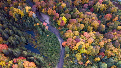 Beautiful aerial views of autumn fall foliage landscape in Wentworth valley,  Nova Scotia. Autumn...