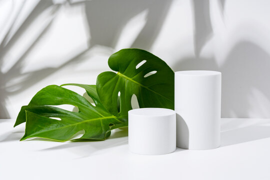 White columns and monstera leaves are placed on a white background.