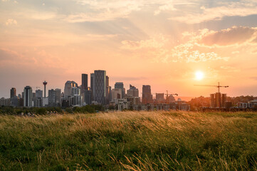 Calgary skyline, summer sunset