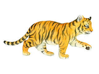 A walking baby tiger painted in watercolor
