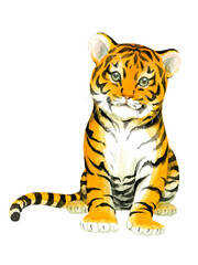 Fototapeta na wymiar A sitting baby tiger painted in watercolor