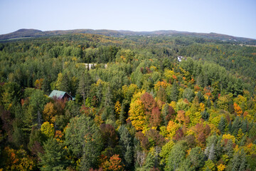Fototapeta na wymiar Aerial view of the forest with the colors of fall in the mountains
