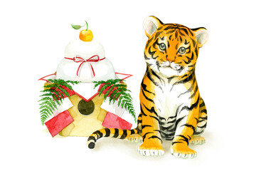 Fototapeta na wymiar A baby tiger sitting beside Kagamimochi, Japanese new year ornament