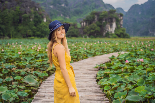 Young woman in a yellow dress on the path among the lotus lake. Mua Cave, Ninh Binh, Vietnam. Vietnam reopens after quarantine Coronovirus COVID 19 concept