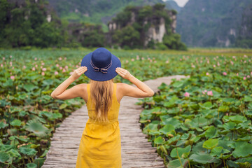 Young woman in a yellow dress on the path among the lotus lake. Mua Cave, Ninh Binh, Vietnam. Vietnam reopens after quarantine Coronovirus COVID 19 concept