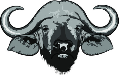 Black and gray image of the head of an African buffalo vector illustration