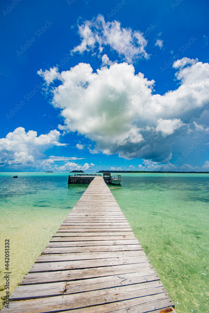 Wall mural The pier to the sea, Carp island, the Rock Islands Southern Lagoon, Palau, Pacific island