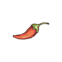 Hand drawn pod of red chili pepper color engraving vector illustration isolated.
