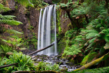 The Hopetoun Falls is a waterfall across the Aire River that is located in The Otways region of...