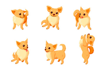 Playful chihuahua dogs. Sitting and standing chihuahua companion isolated in white background. Vector illustration in cute comic style