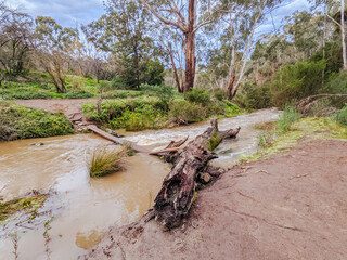 Fototapeta premium Plenty Gorge Parklands in Australia