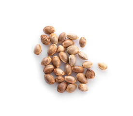 Hemp seeds isolated on white background