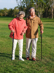 Happy old couple walking in the park