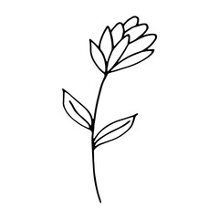 abstract flower icon. hand drawn doodle. vector, scandinavian, nordic, minimalism, monochrome. plant, herbarium.