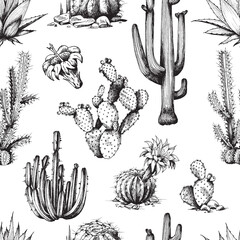Seamless pattern with cactuses, monochrome engraving vector illustration. © sabelskaya