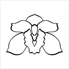 Doodle orchid icon isolated on white. Hand drawn sketch. Flower coloring page book. Vector stock illustration. EPS 10 