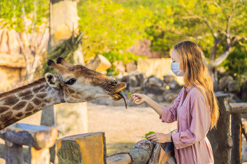 Happy young woman watching and feeding giraffe in zoo wearing a medical mask during COVID-19 coronavirus. Happy young woman having fun with animals safari park on warm summer day