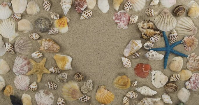 Rotation of seashells and starfish lying on the sand with empty space. Top view. Beautiful beach background