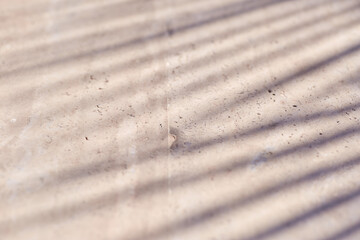 Elegant stylish top view texture with tropical palm leaf shadows, beige natural stone wall. Minimal trendy abstract concrete texture background.