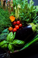 organic vegetables on the dark background