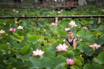 Abwaschbare Fototapete Vietnamese boy playing with the pink lotus over the traditional wooden boat in the big lake at thap muoi, dong thap province, vietnam, culture and life concept © THANANIT