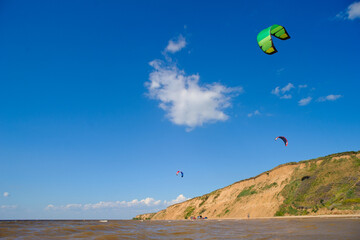 Kites fly over the coast in the blue sky.
