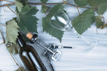 glass glass wine bottle wine corkscrew with cork and grape branches on a painted wooden background