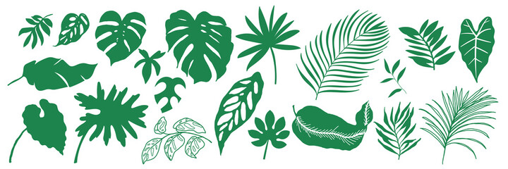 Fototapeta na wymiar Tropical leaves collection. Vector isolated elements on the white background. summer clipart