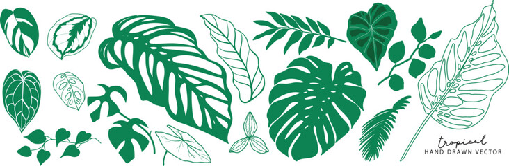 Tropical leaves collection. Vector isolated elements on the white background. summer clipart © babeer