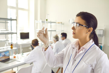 Side view young female scientist in coat, gloves and goggles looking at small green leaf inside...